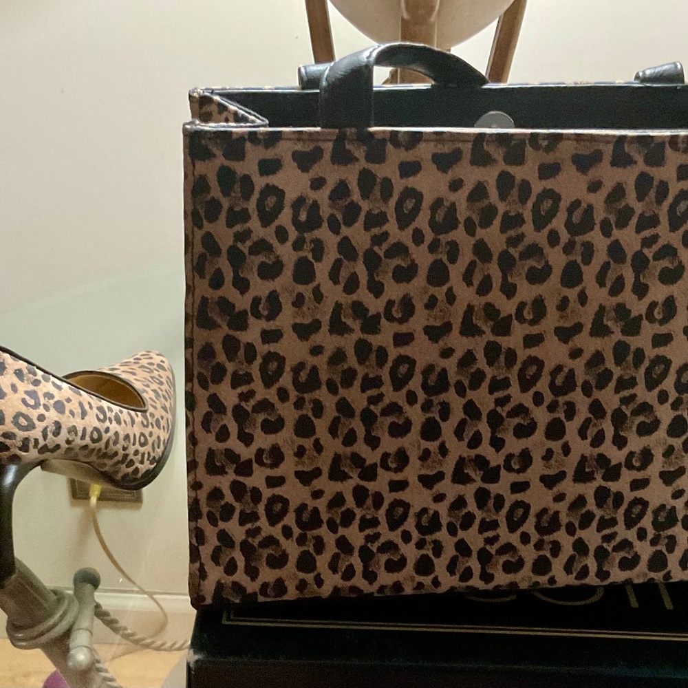 Newport News purse and shoes size 10
